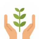 bonsanto-mini-grow-box.com